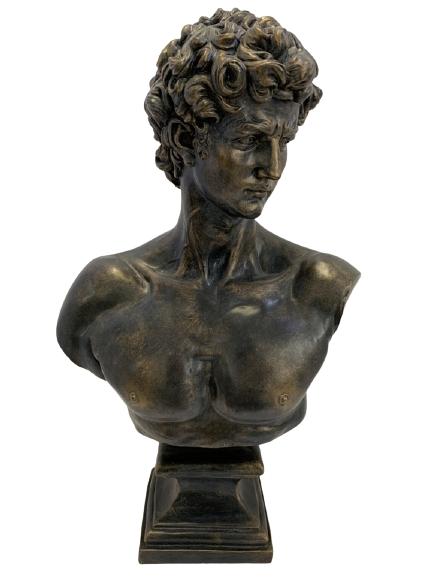 AFTER MICHELANGELO DAVID BUST STATUE 22" (1 of 6)