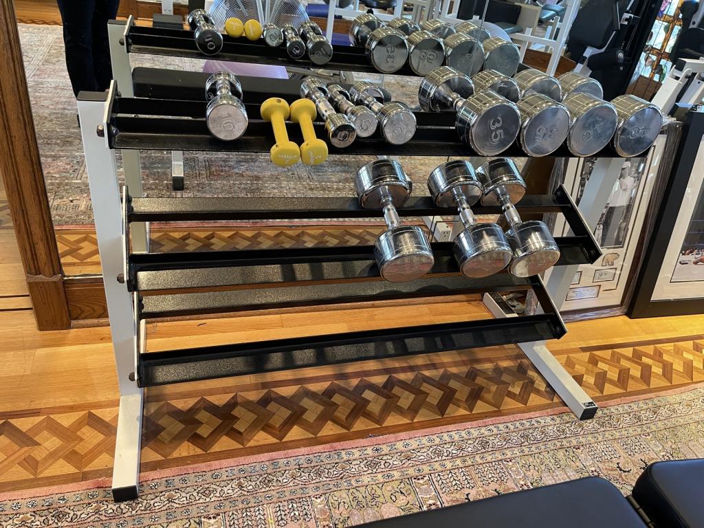 FREE WEIGHT DUMBELL SET WITH THREE SHELF RACK (1 of 1)