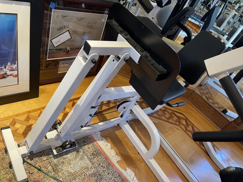 WORKOUT LEG PRESS MACHINE (1 of 1)