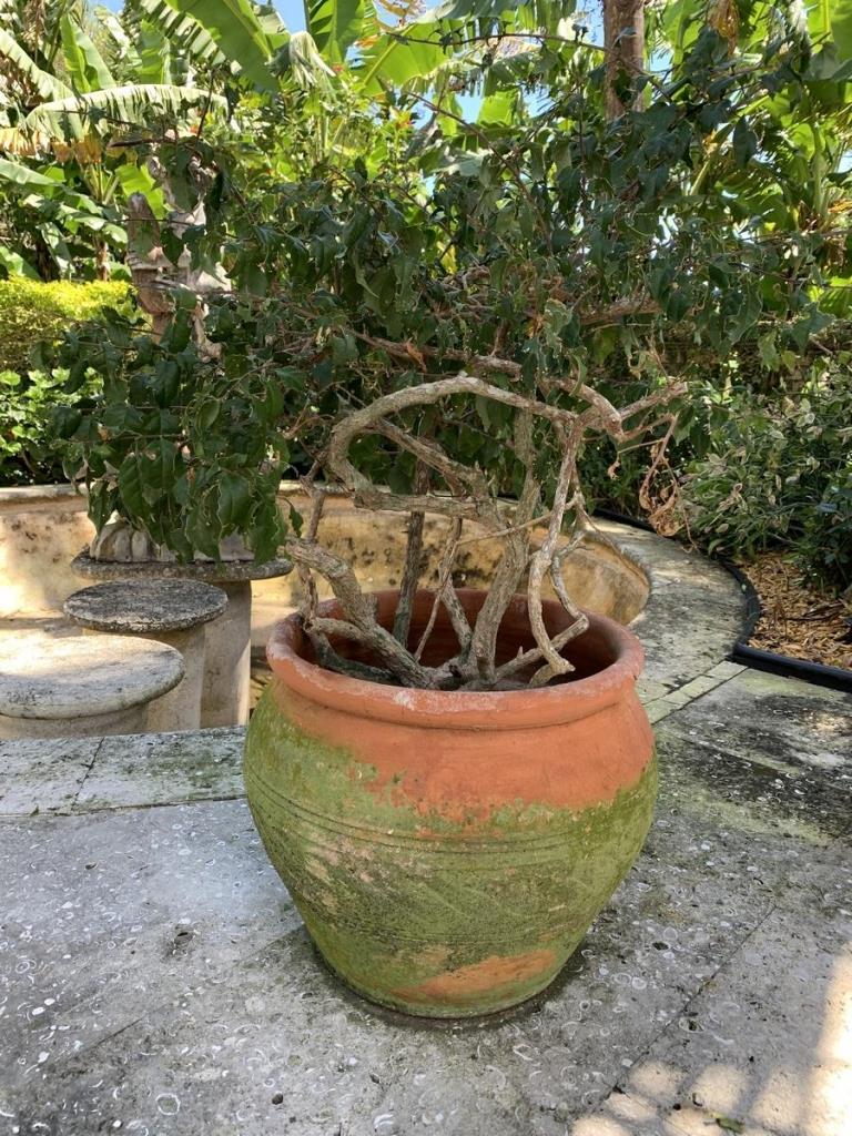 LARGE CLAY POTTERY OUTDOOR GARDEN PLANTER 16" (1 of 3)