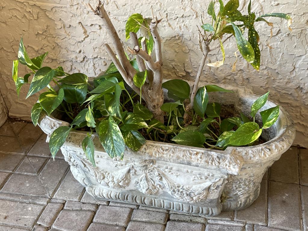 OUTDOOR GRECIAN INSPIRED PLANTER WITH PLANT (1 of 2)