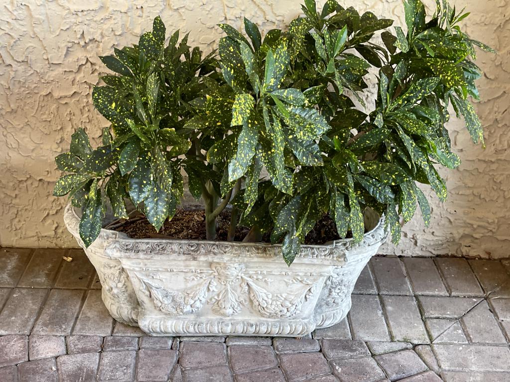 OUTDOOR CERAMIC PLANTER WITH PLANT (1 of 2)