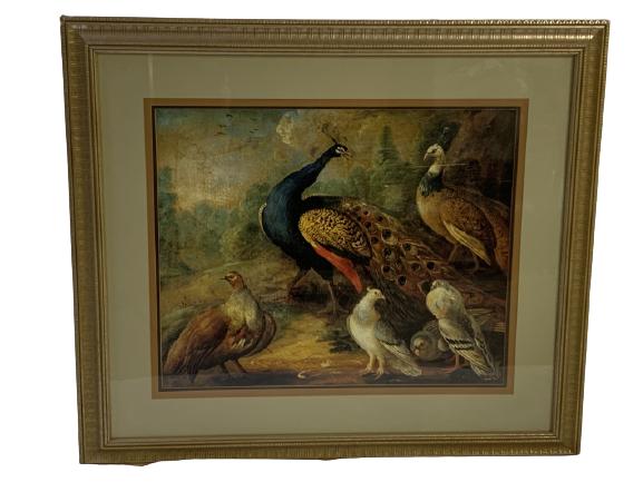 MANNER OF GIOVANNI BOGGI PEACOCK & BIRD PRINT (1 of 4)