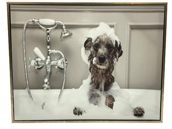 BLACK &WHITE DOG IN TUB GICLEE PRINT ON CANVAS 18" (1 of 4)