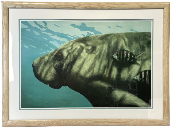 SANDERS ORIGINAL MANATEE PAINTING ON PAPER 27" (1 of 5)