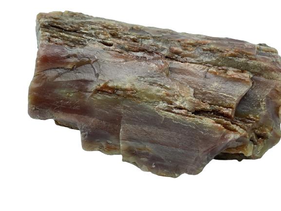 VINTAGE ARIZONA PETRIFIED WOOD SCULPTURE 5": VINTAGE ARIZONA PETRIFIED WOOD SCULPTURE PAPERWEIGHT COLLECTIBLE FOSSILS CRYSTALS STONES MINERALS-5" X 4" X 2" APPROX -VERY GOOD CONDITION-DP72721 PORTAGE HOUSE 1FL