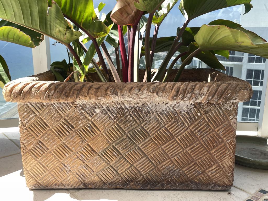 VINTAGE TERRACOTTA  PLANTER AND PLANT 18" (1 of 5)