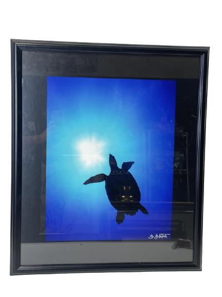 SIGNED SEA TURTLE PHOTO PRINT 27" (1 of 5)