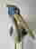 item-113234482=5