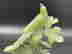 item-114845257=2