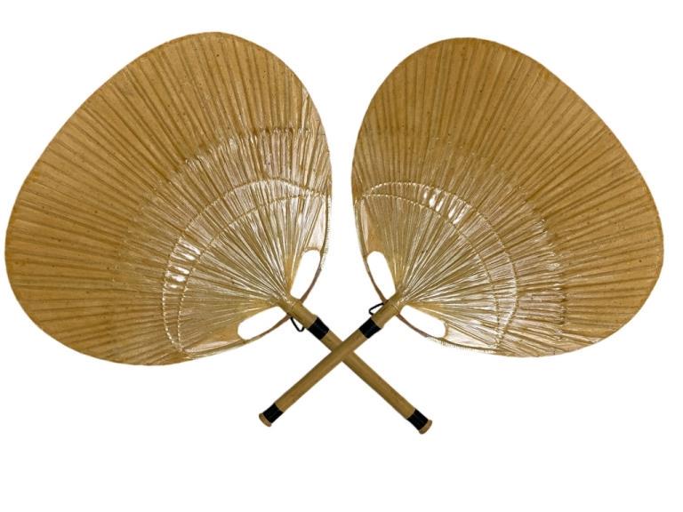 PAIR OF PALM LEAF FAN WALL SCONCE LAMPS 30" (1 of 5)