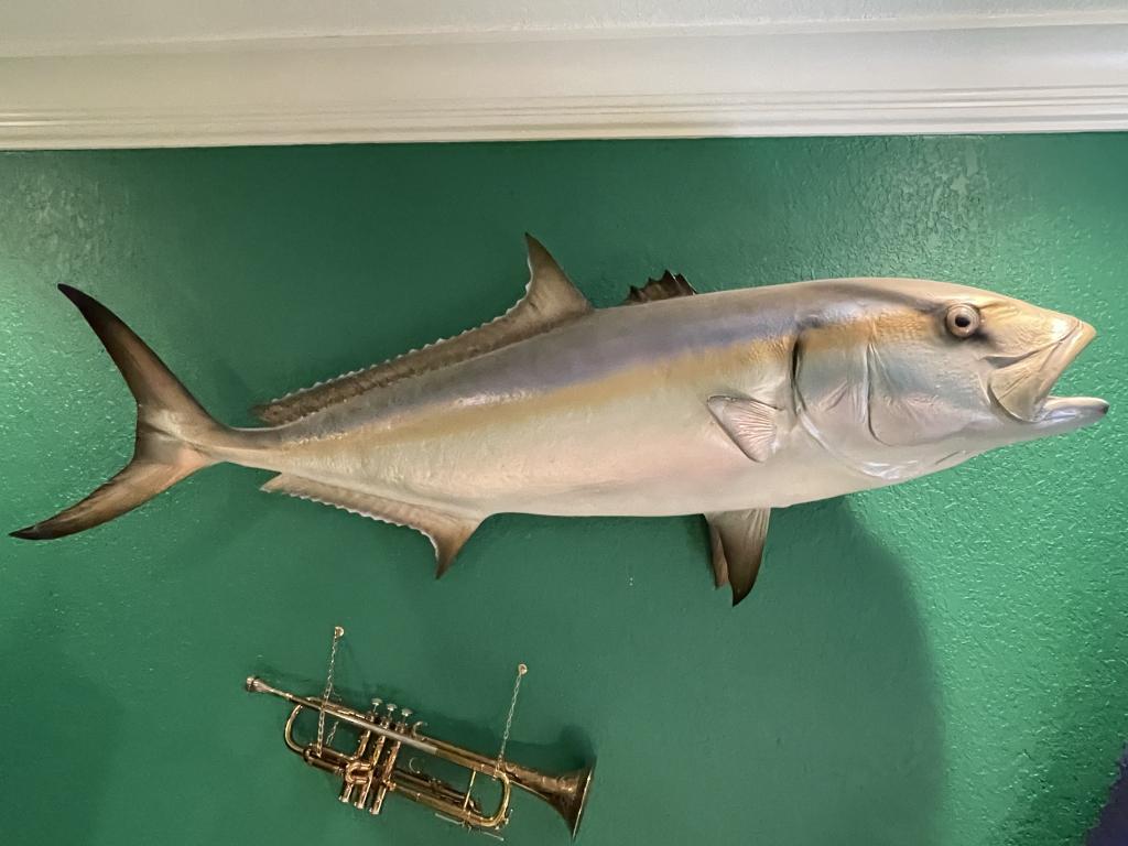 FISH TAXIDERMY FISHING TROPHY WALL MOUNT 54" (1 of 4)