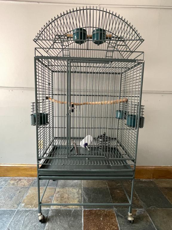 LARGE DOME TOP BIRD CAGE 67" (1 of 12)