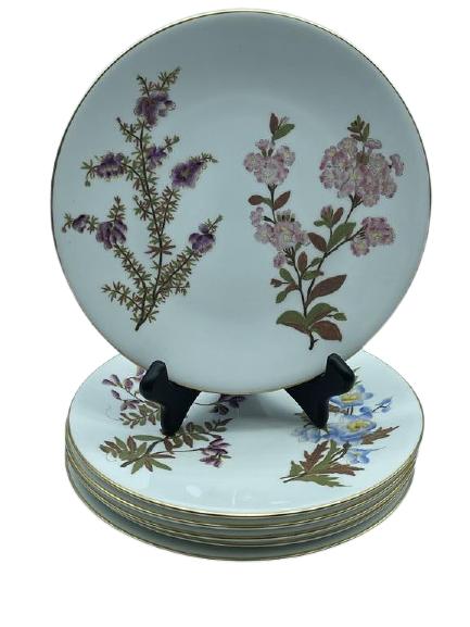 PRETTY BONE CHINA HANDPAINTED SET OF 6 PLATES: PRETTY BONE CHINA HANDPAINTED SET OF 6 PLATES