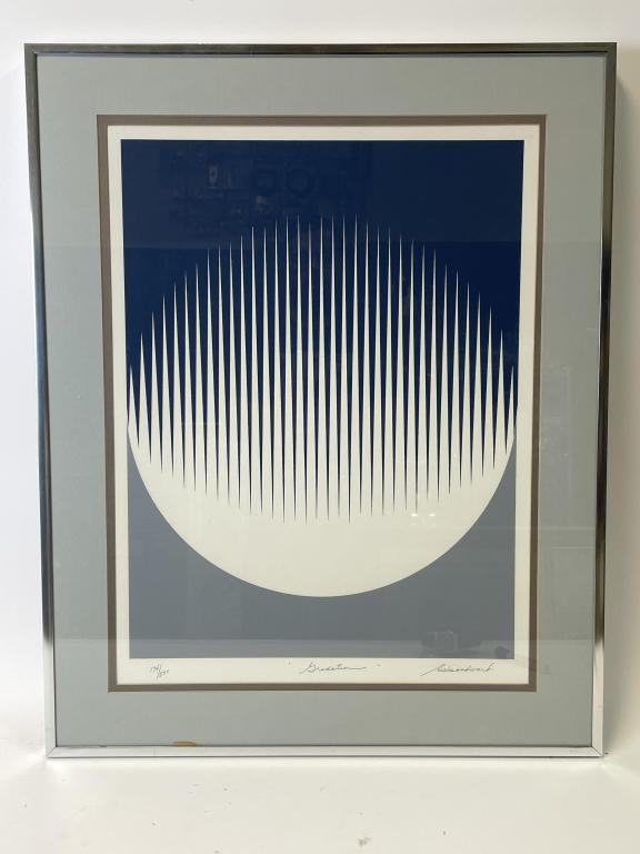 VINTAGE OP ART WOODWARD SERIGRAPH PRINT 30" (1 of 7)