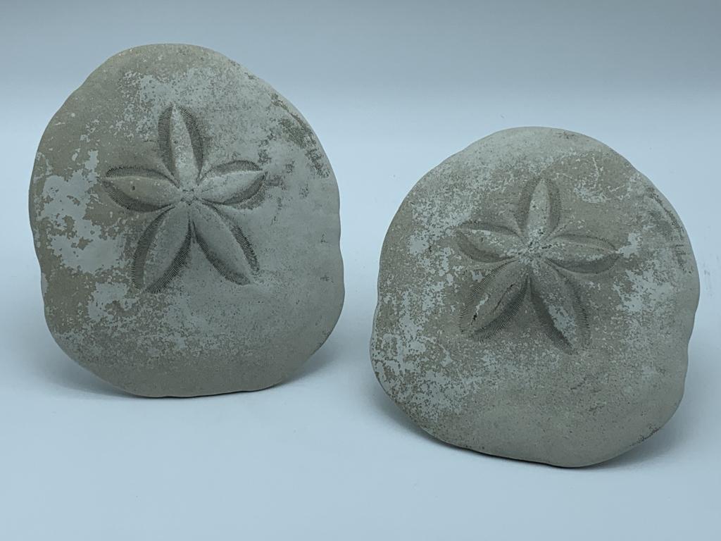 PAIR OF DECORATIVE SEA BISCUITS WITH STANDS (1 of 4)