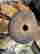 item-121382996=16
