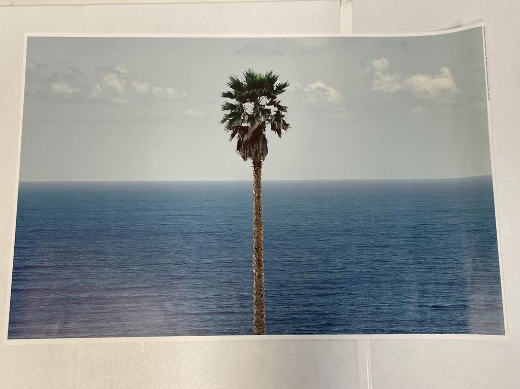 John Baldessari 'palm Tree / Seascape' Lithograph