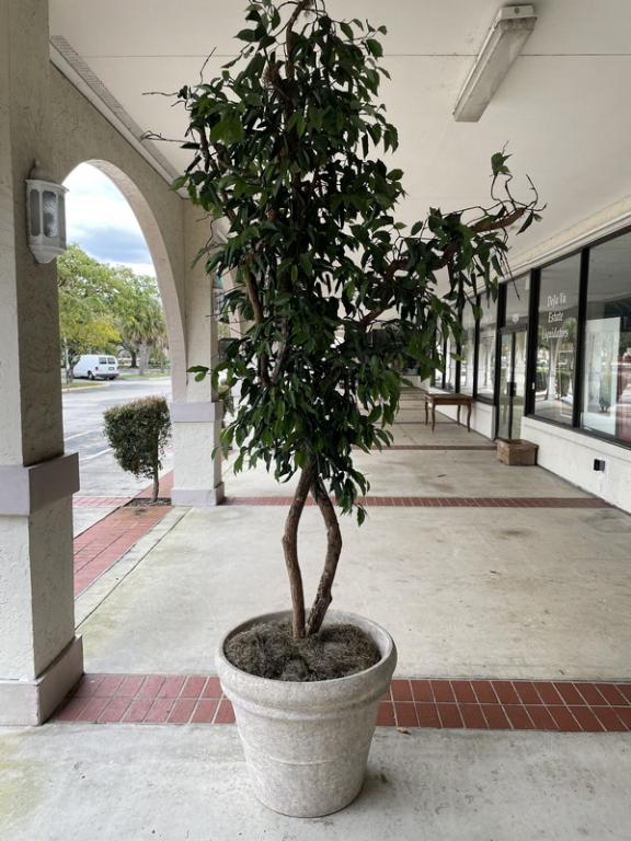 LARGE TERRACOTTA OUTDOOR PLANTER & FAUX TREE 105" (1 of 5)