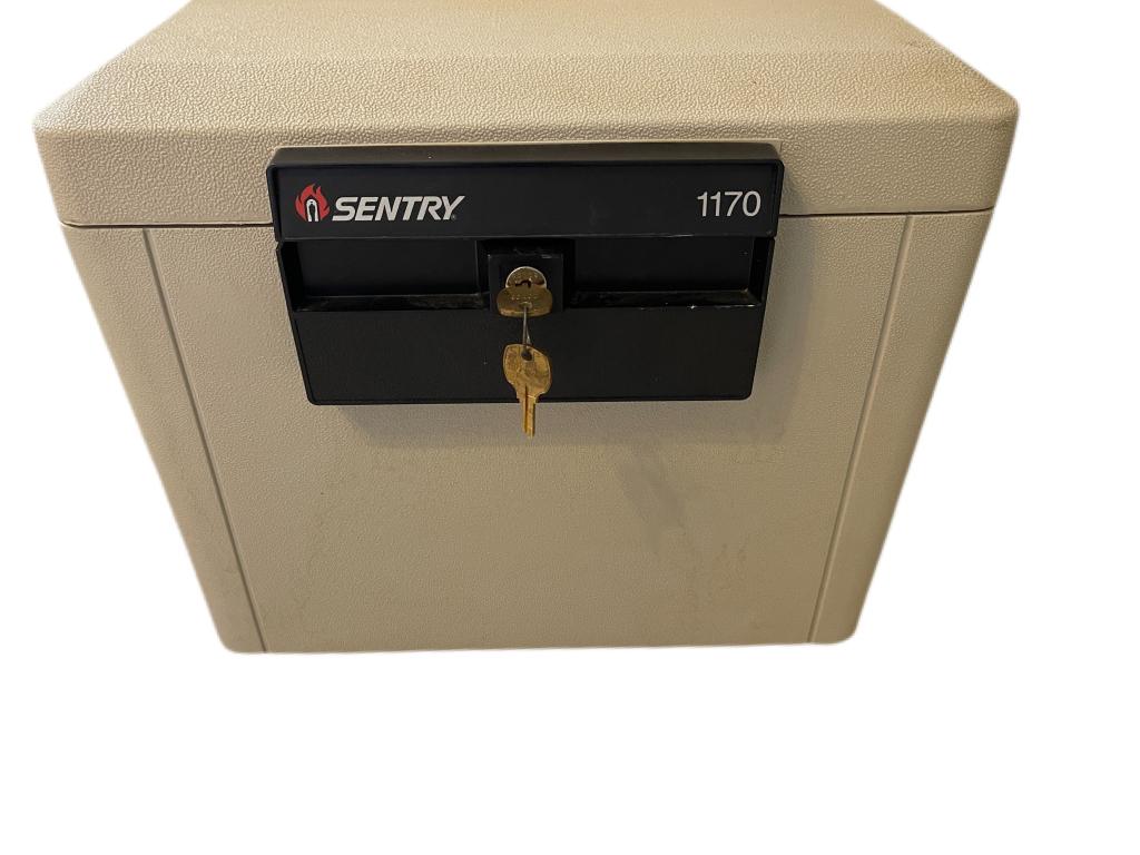 SENTRY 1170 SAFE (1 of 1)