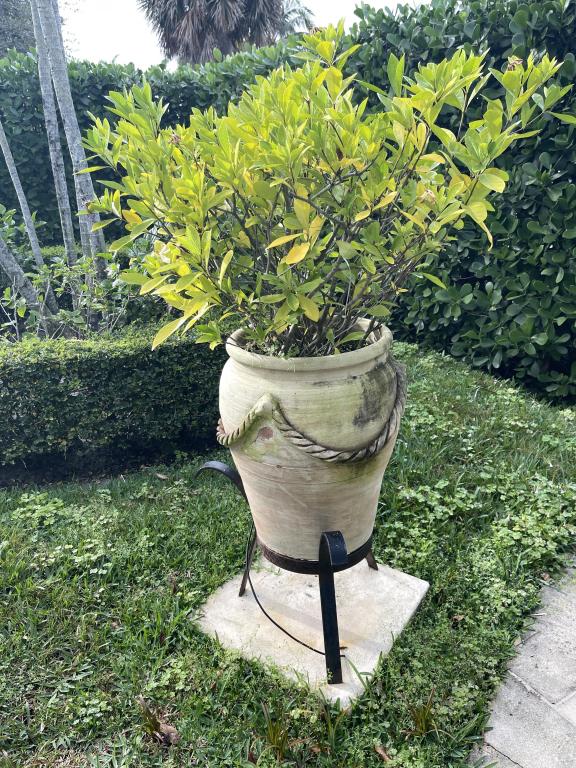 LARGE REGENCY STYLE TERRACOTTA PLANTER 36" (1 of 3)