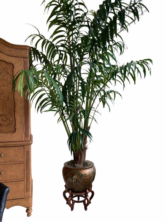 LARGE DESIGNER SILK TREE IN MEDITERREAN POT (1 of 3)