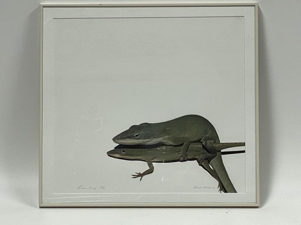 GEORGE RHODES GREEN ENVY PHOTO PRINT 20" (1 of 7)