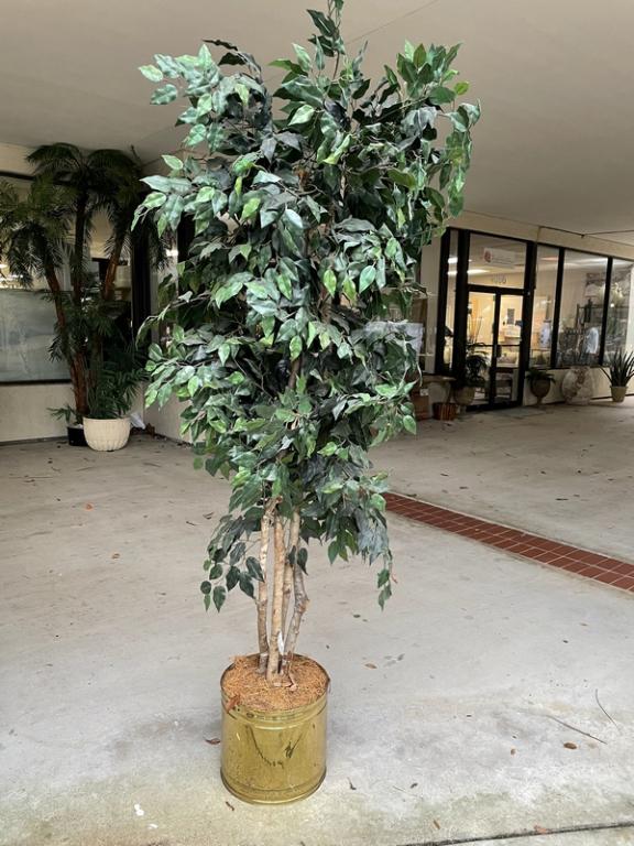 FAUX ARTIFICIAL FICUS TREE IN BRASS PLANTER 84" (1 of 3)