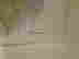 item-128870921=2
