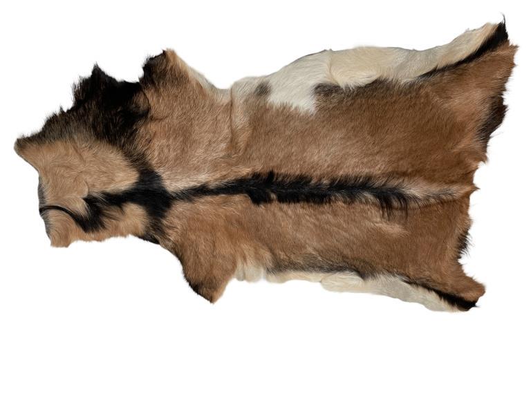 GENUINE GOATSKIN TAXIDERMY TANNED HIDE 35" (1 of 4)