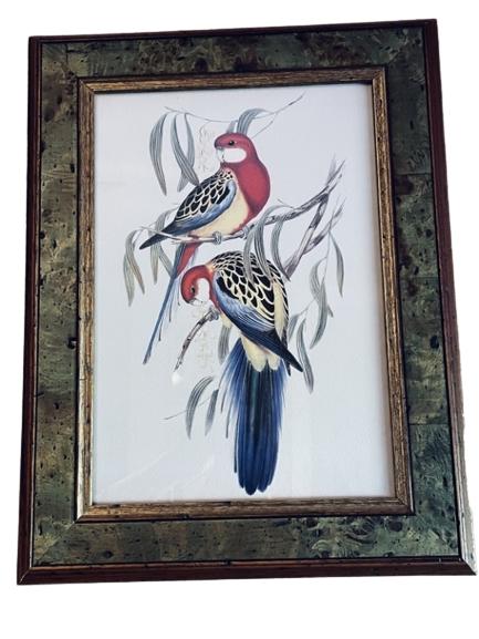 VINTAGE BIRD PRINT IN BURLWOOD STYLE FRAME 24" (1 of 1)