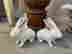 item-129257058=3