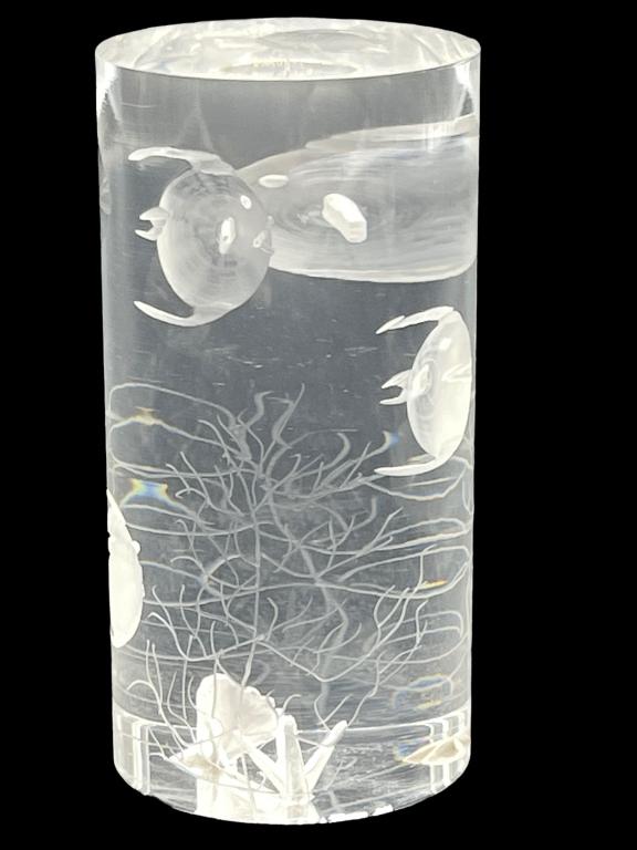 VTG LUCITE ETCHED FISH PAPERWEIGHT: VTG LUCITE ETCHED FISH PAPERWEIGHT