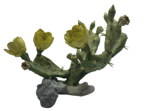 BURGUES PRICKLY PEAR CACTUS LIMITED EDITION 95/250 (1 of 4)
