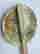 item-131021245=2