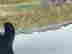 item-131021246=3