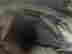item-131021306=5