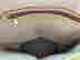 item-131021580=5