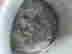 item-131383417=8
