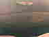 item-131849400=4