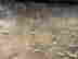 item-133508251=2