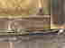 item-134125141=5