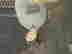 item-134125250=5