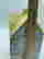 item-134313674=5