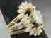 item-134460294=6