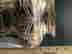 item-134460381=5