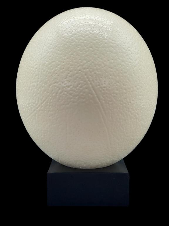 LARGE NATURAL OSTRICH EGG ON STAND 4.5" (1 of 7)