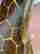 item-137143003=10