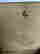 item-137143106=5