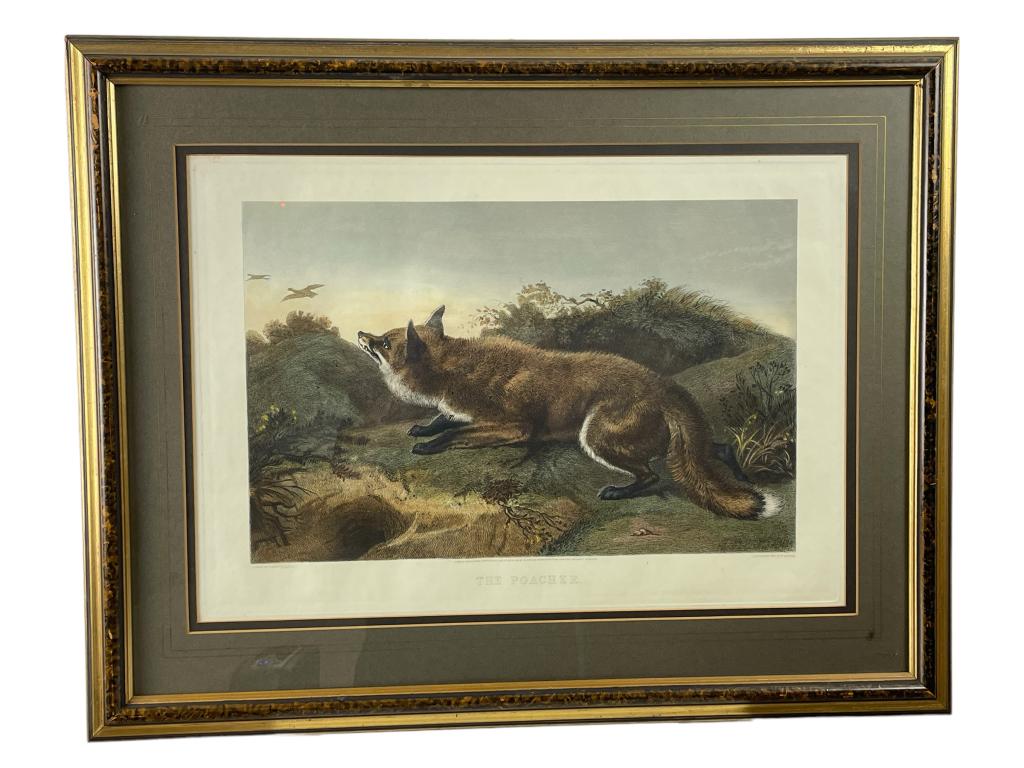 1872 C. LEWIS ENGRAVING " THE POACHER" 28.5" (1 of 7)